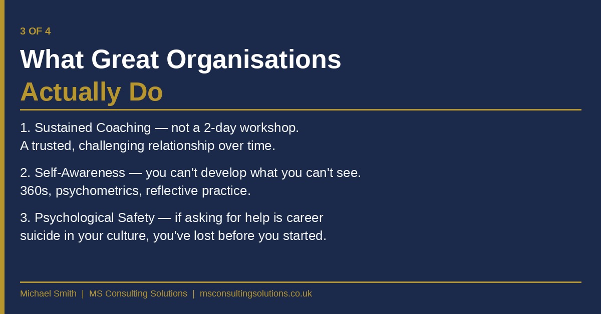 What Great Organisations Actually Do